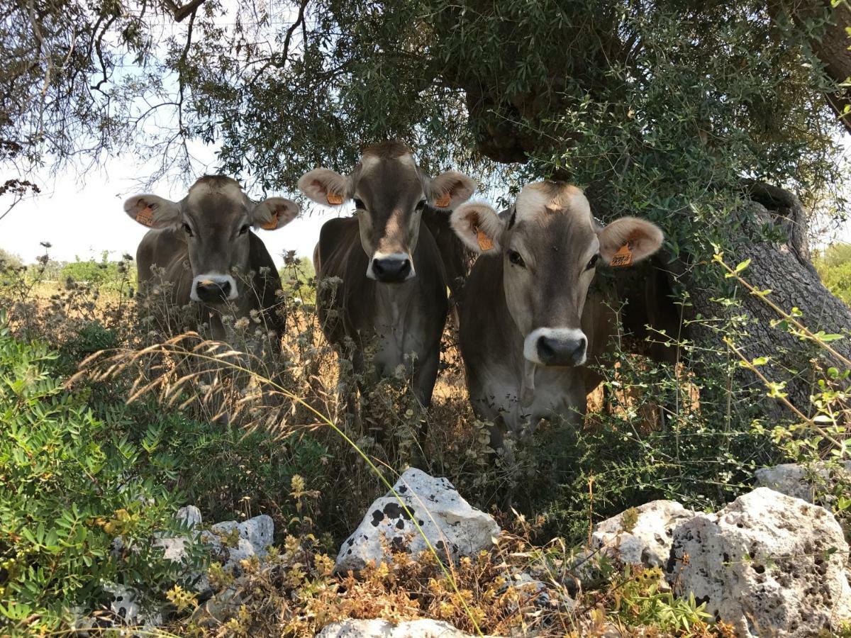 Penzion Casa Farfaglia Noto Exteriér fotografie